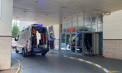 Deli dana hastalığı geri döndü: Ankara’dan sonra Bolu’da da vaka görüldü