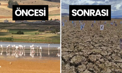 Konya'da 250 Kuş Türüne Ev Sahipliği Yapan Göl Kurudu!
