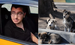 Köpeklere cinsel istismar uygulayıp öldürmüştü: Doktor Mustafa Duman'a 9 yıl 9 ay hapis cezası