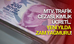 Pasaporttan IMEI’ye, MTV’den yemek kartına: 2026 yılında vergi ve cezalar artıyor