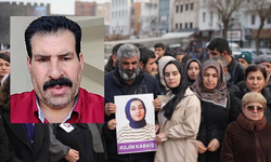 Sosyal medyadan Rojin Kabaiş’e hakaret eden şahıs tutuklandı