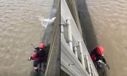 Dere yatağında mahsur kalan köpek, itfaiye tarafından kurtarıldı