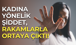Türkiye’de kadına yönelik şiddet, rakamlarla ortaya çıktı