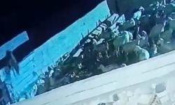 Konya’da kurt ağıla girdi: Bir küçükbaş hayvan telef oldu