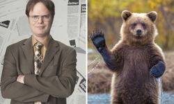 Ayılar hakkında bilmediğiniz ilginç gerçekler