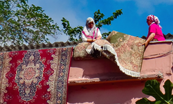 Balkondan Halı Silkeleyen Komşuya Hapis Cezası!