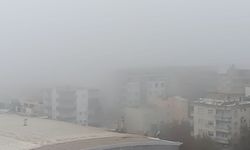 Batman’da yoğun sis etkili oldu: Görüş mesafesi 30 metreye düştü