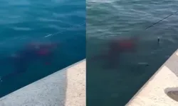 Beykoz’da Balıkçıların Oltasına Ceset Takıldı!