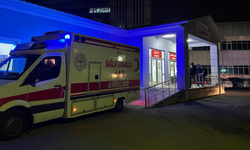 Bingöl’de 120 öğrenci öğle yemeğinden zehirlendi!