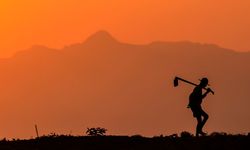 Çiftçilere 1,5 milyar liralık tarımsal destek ödemesi bugün yapılacak