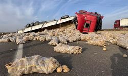 Diyarbakır-Şanlıurfa yolunda tır devrildi