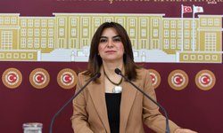 İmralı’ya giden DEM Parti Grup Başkanvekili'nden ilk mesaj