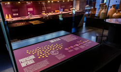 İsviçre’de Roma müzesi soyuldu: Onlarca altın sikke çalındı