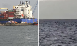 Kocaeli'de balıkçı teknesi alabora oldu: 1 balıkçı kayıp