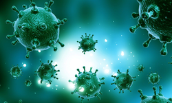 Kuzey Yarımküre’de ‘mutasyonlu H3N2’ paniği