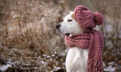 Meteoroloji uzmanından kış müjdesi: Bu yıl daha soğuk ve yağışlı geçecek