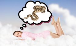 Rüyada yılan görmek ne anlama gelir?