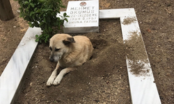 Şehit Mezarına Saldırı Yalanı Yapay Zeka ile Üretildi!