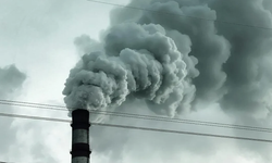 Silivri’de "Ölümcül Hastalık" Uyarısı!