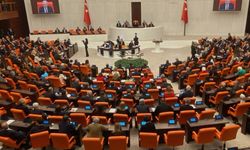 Kadına yönelik şiddet araştırılsın önerisi Meclis'e sunuldu!