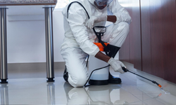 Uzmanlardan sitelerde ilaçlama uyarısı: Profesyonel ve koordineli çalışma şart