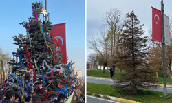 Yıldız Teknik Üniversitesi öğrencilerinin yılbaşında süslediği ağaç kezzapla kurutuldu!
