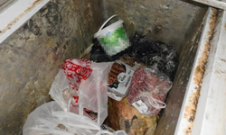 Zonguldak’ta bozulmuş et kullanan pideci mühürlendi