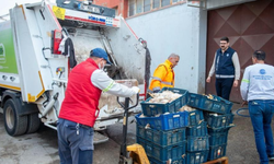 Adana'da bir depodan 25 kasa kokmuş tavuk çıktı