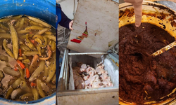 Adana'da bir dönerciden kurtlanmış salça ve turşu çıktı