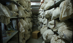 Adliyenin emanet kasasından 25 kilo altın ve 55 kilo gümüş çalındı