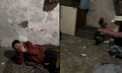 Ankara'da şok eden olay: Üç kardeş 7 yıl boyunca güvercin kümesinde tutuldu