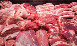 Besiciler zor durumda, et fiyatları 2026’da hızla yükselecek