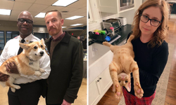 Bilim konuştu: Kedi ve köpekler hastalık değil, psikolojik destek sağlıyor