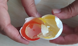 Bozuk yumurta nasıl anlaşılır? İşte 4 kolay test