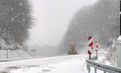 Bu yıl kar yağışları geçmiş yıllara göre daha az olacak