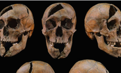 Sarayda kanlı infaz: 753 yıllık suikast çözüldü