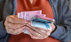 Emekli olan biri başka bir işte çalışabilir mi?