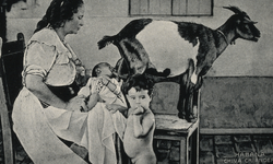 Eskiden keçiler süt anne olarak kullanılıyormuş!