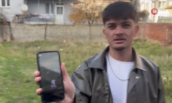 Eskişehir’de kediler gözleri oyulmuş, karınları deşilmiş şekilde bulundu