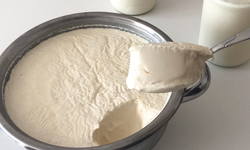 Ev yoğurdu sandığınız kadar masum değil