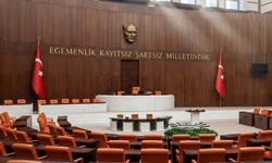 İktidar değişse bile Erdoğan hemen yargılanamaz