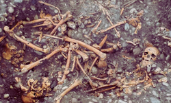 Şehrin altından 500 yıllık iskeletler çıktı