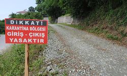 İzmir’de şap karantinası: Hayvan hareketleri durduruldu