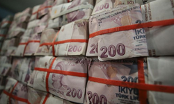 Türkiye’de her gün 2 bin 467 kişi milyoner oldu