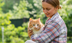 Kediler favori insanlarını nasıl belirliyor? Bilim açıklıyor