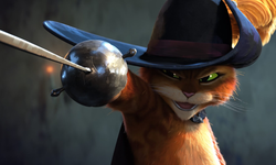 Kedilerin neden dokuz canlı olduğu söylenir? Efsanenin kökeni şaşırtıyor