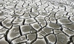 Kuraklık alarmı veren İran, komşu ülkelerden su satın almak istiyor