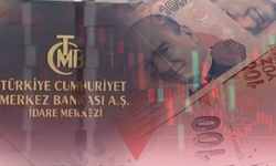 Merkez Bankası verileri açıklandı: Türk Lirası kasımda da değer kaybetti