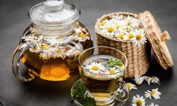 Bilimsel verilerle papatya çayının sakinleştirici gücü