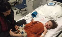 Pitbull saldırısında yaralanan Doğa'ya psikososyal destek veriliyor